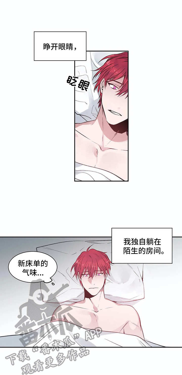 第5章：很糟糕8