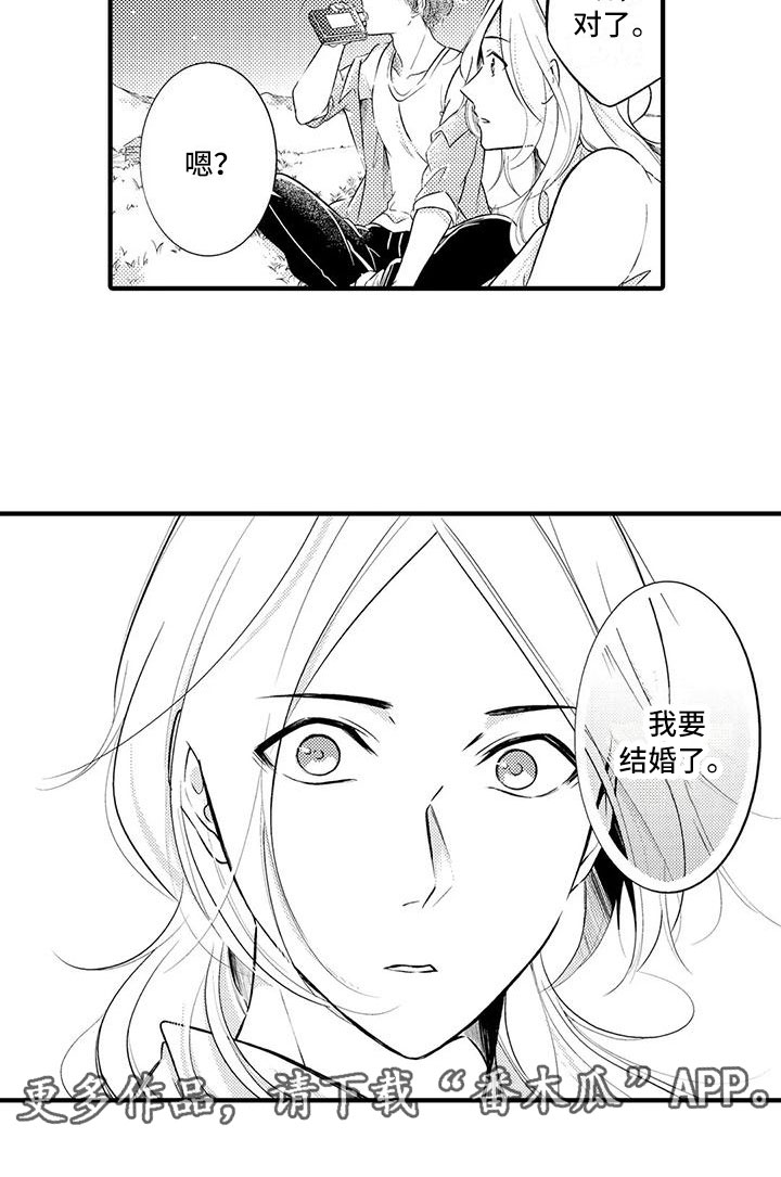 第4章：我要结婚了12