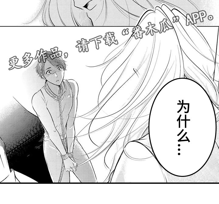 第11章：获救了？11