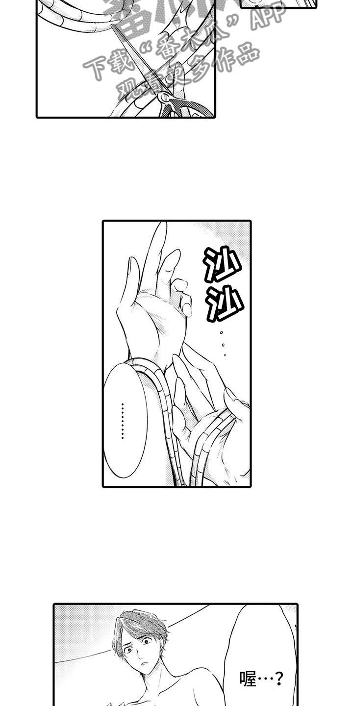 第14章：逃跑！处置？5