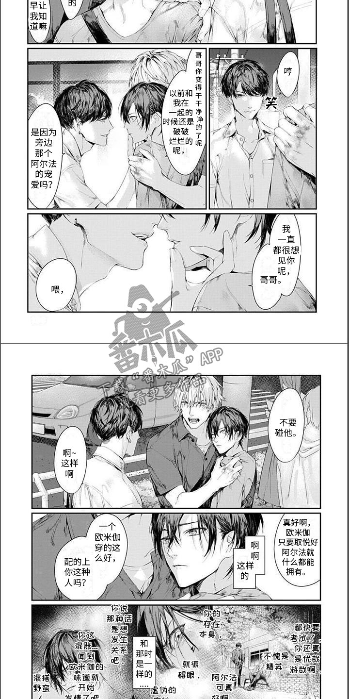 第21章：偶遇4