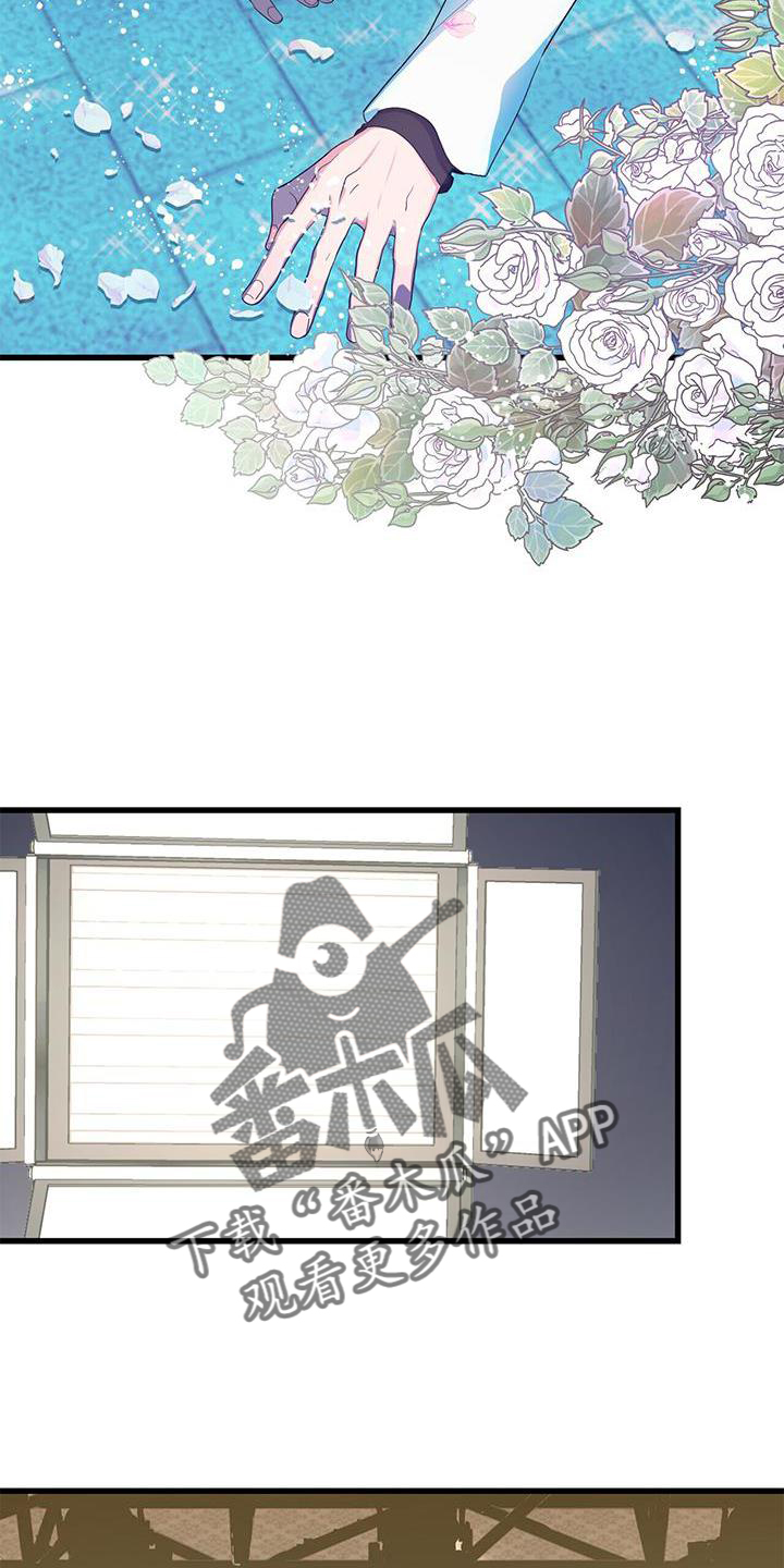 第28章：开拍13