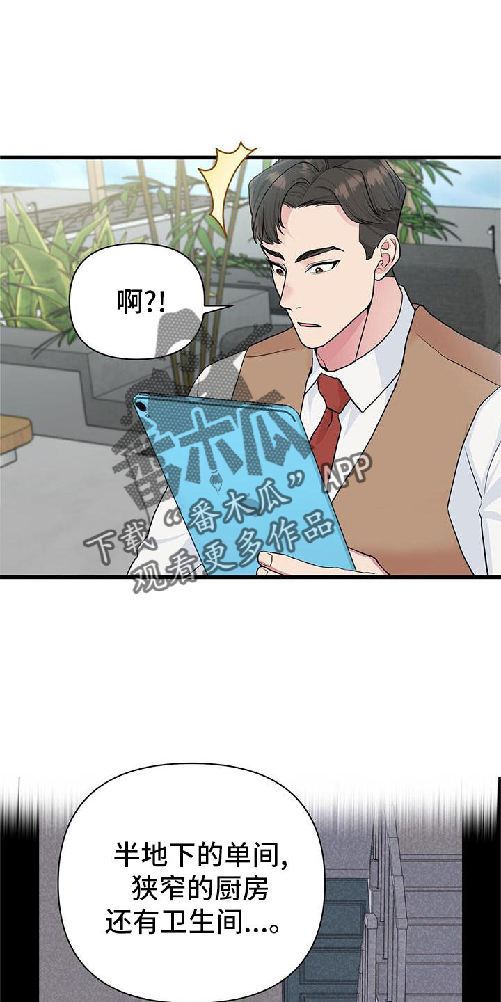 第25章：报告15