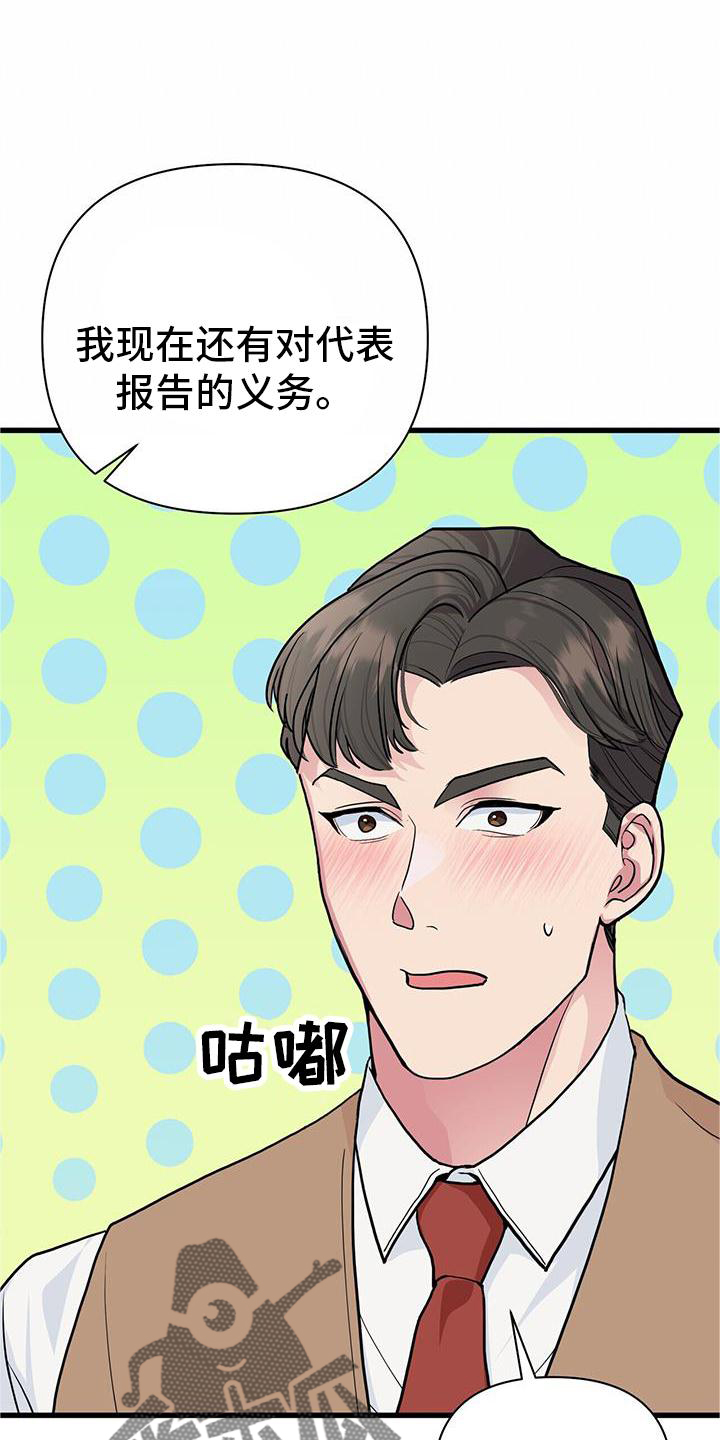 第25章：报告11