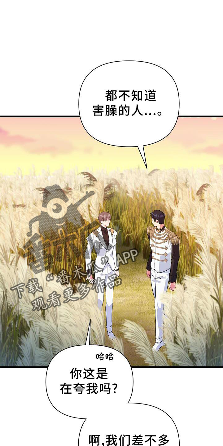 第29章：迷路21