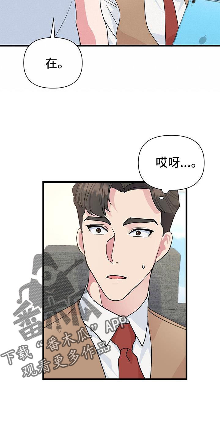 第25章：报告19
