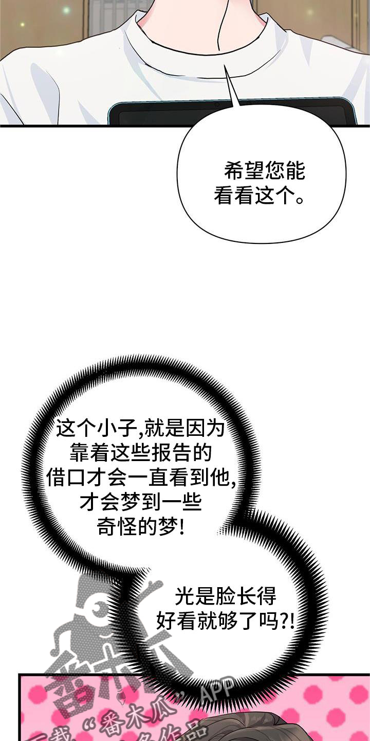 第25章：报告13