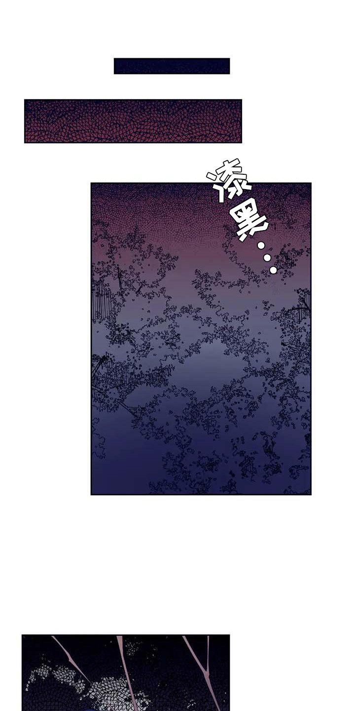 第23章：迷路了0