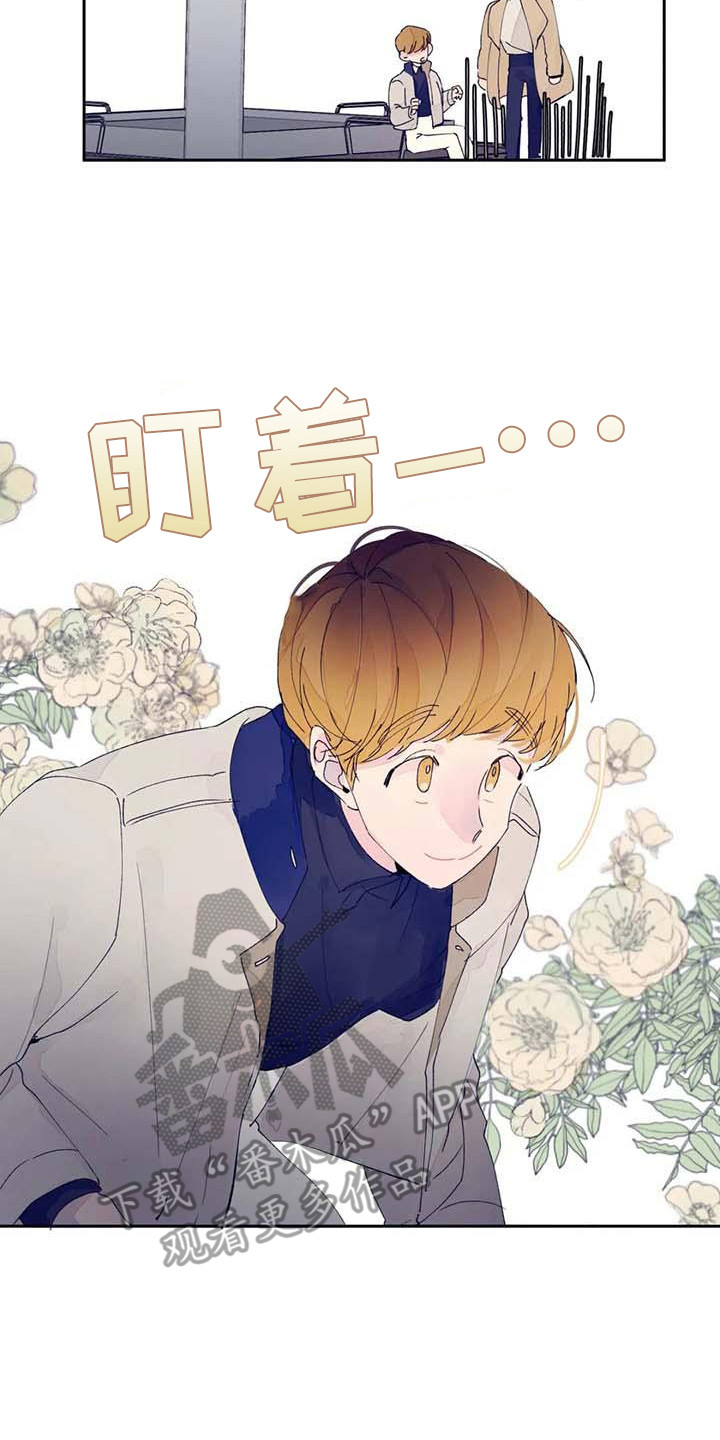 第25章：很合适（完结）16