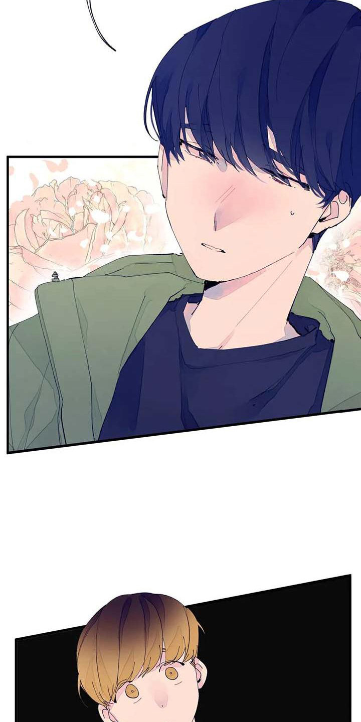 第10章：婉拒15