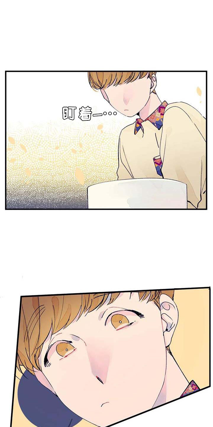 第13章：话题15