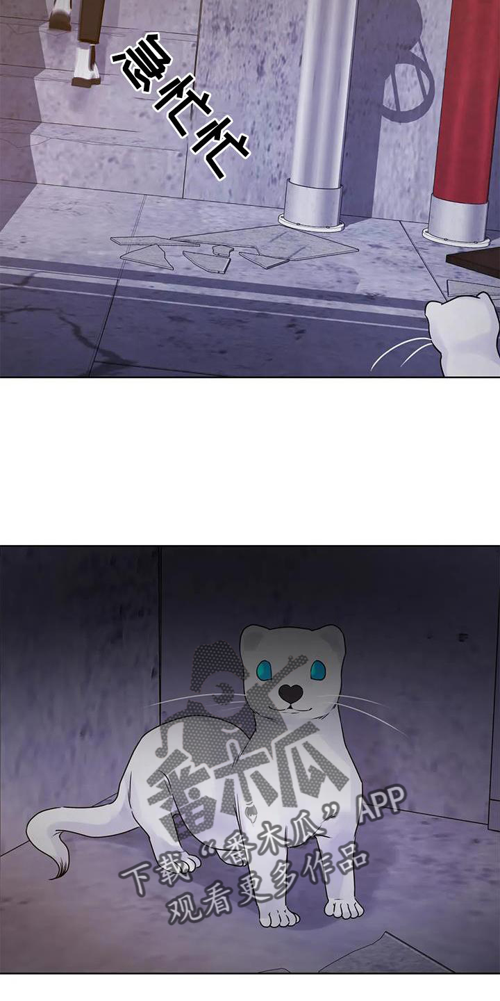 第33章：头晕20