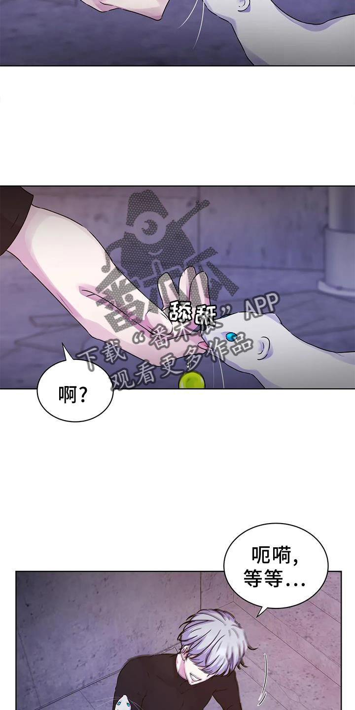 第33章：头晕15