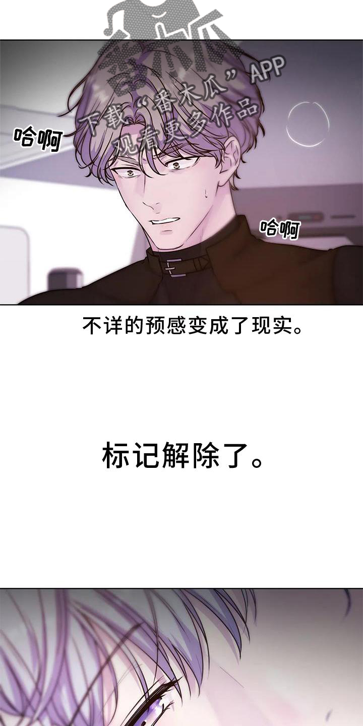 第32章：解除19
