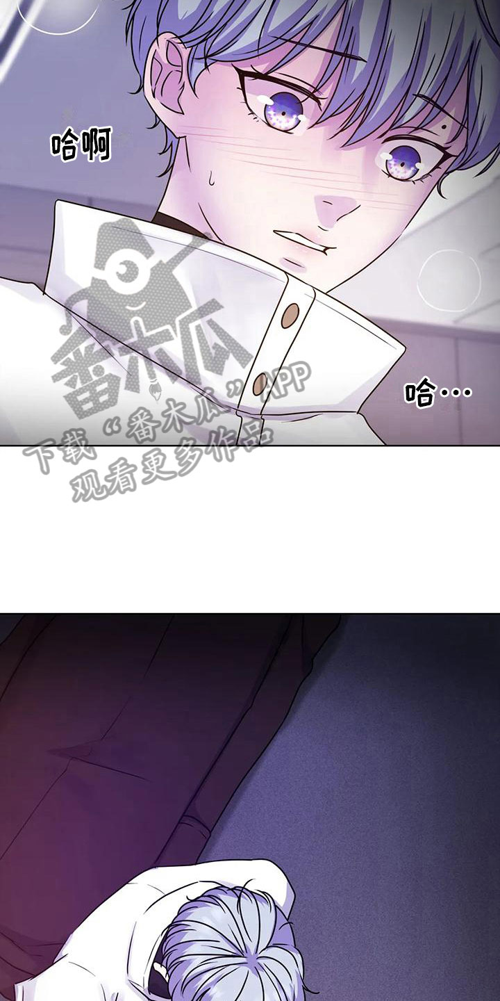 第18章：躲避17