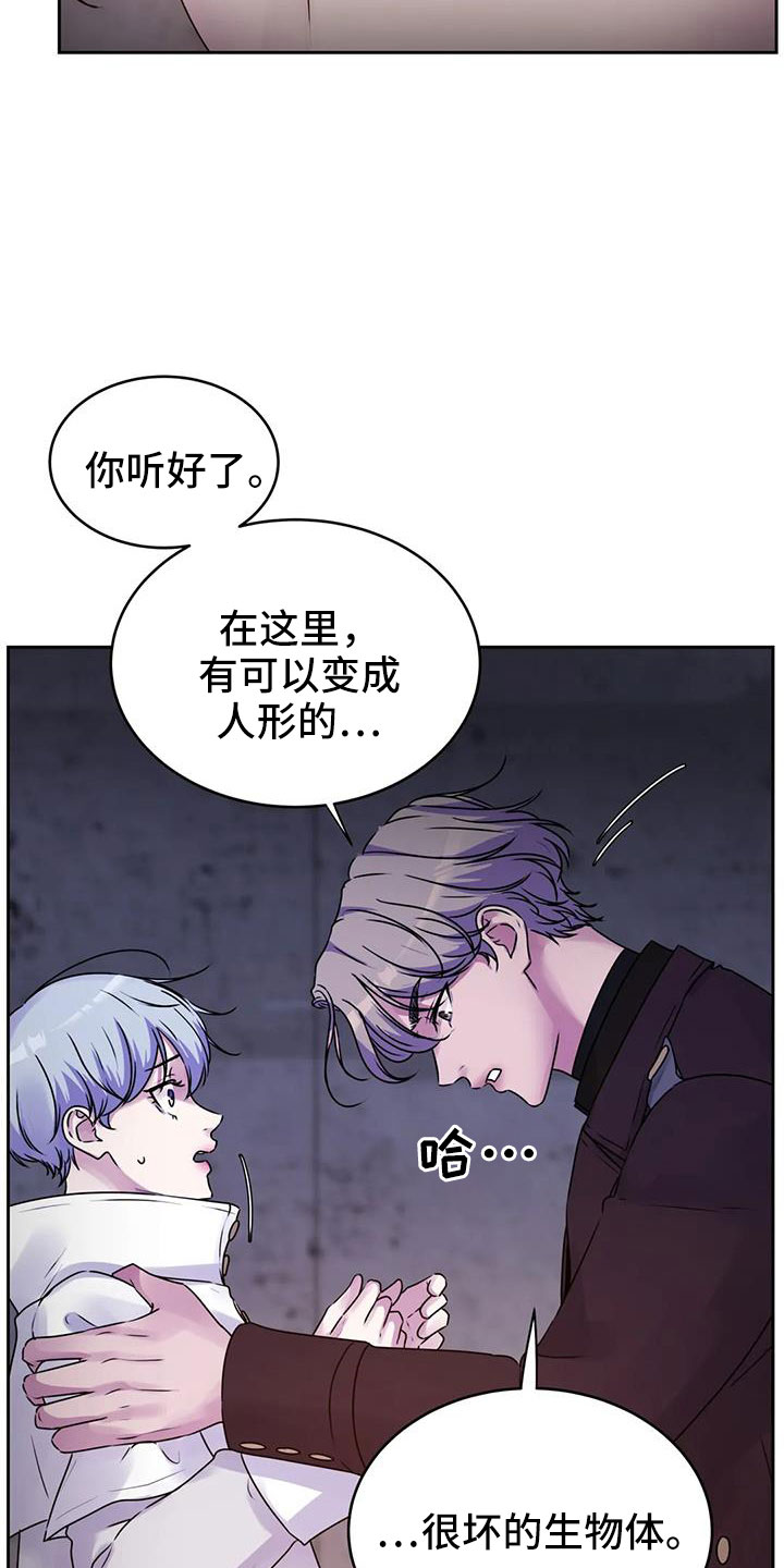 第44章：不打算告诉我20
