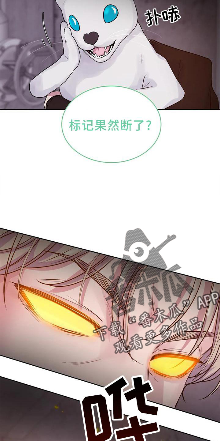 第37章：醒了17