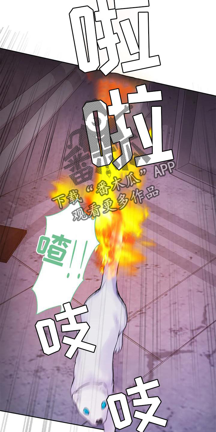 第37章：醒了6