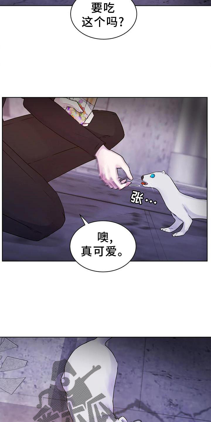 第33章：头晕12