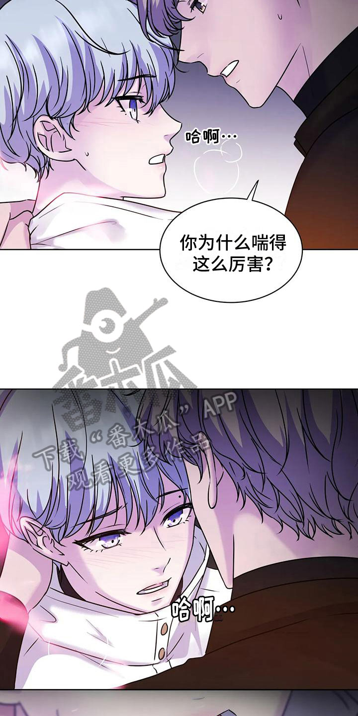 第15章：氛围11
