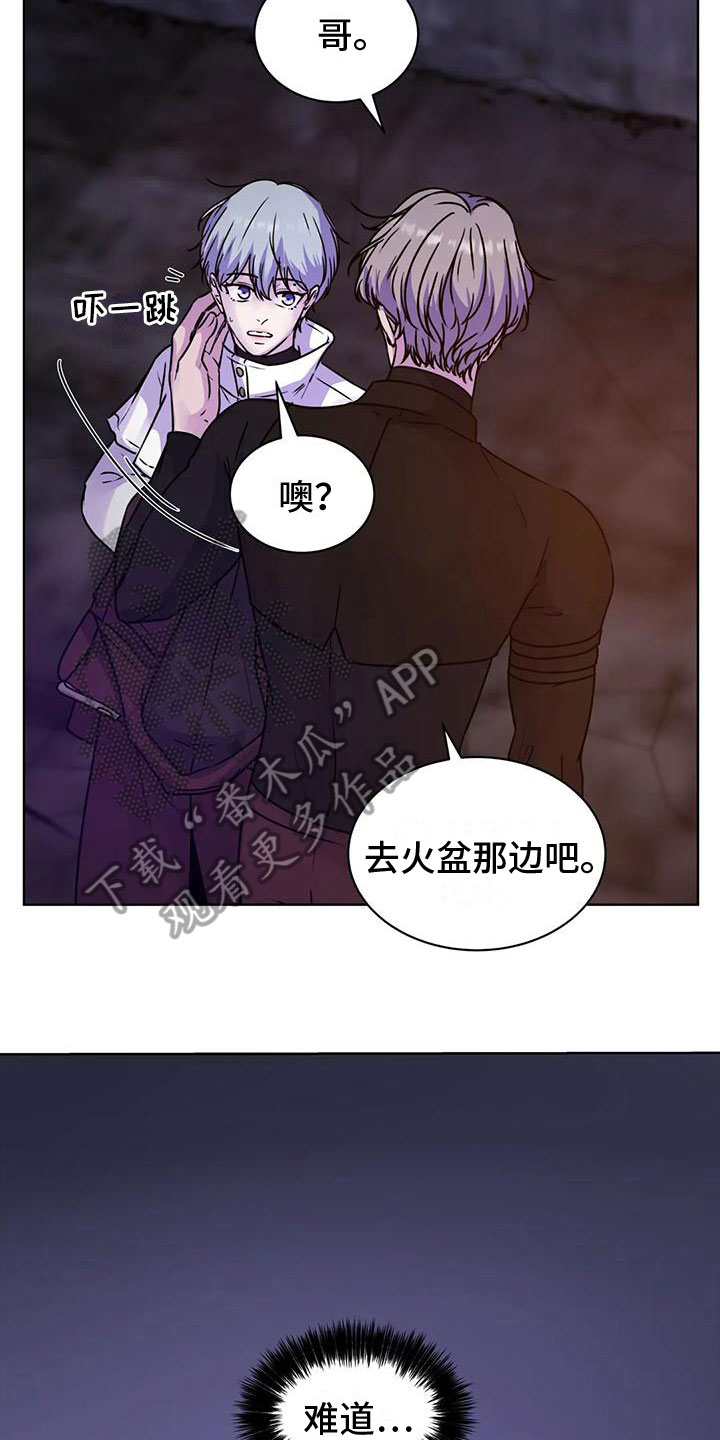 第13章：食物13