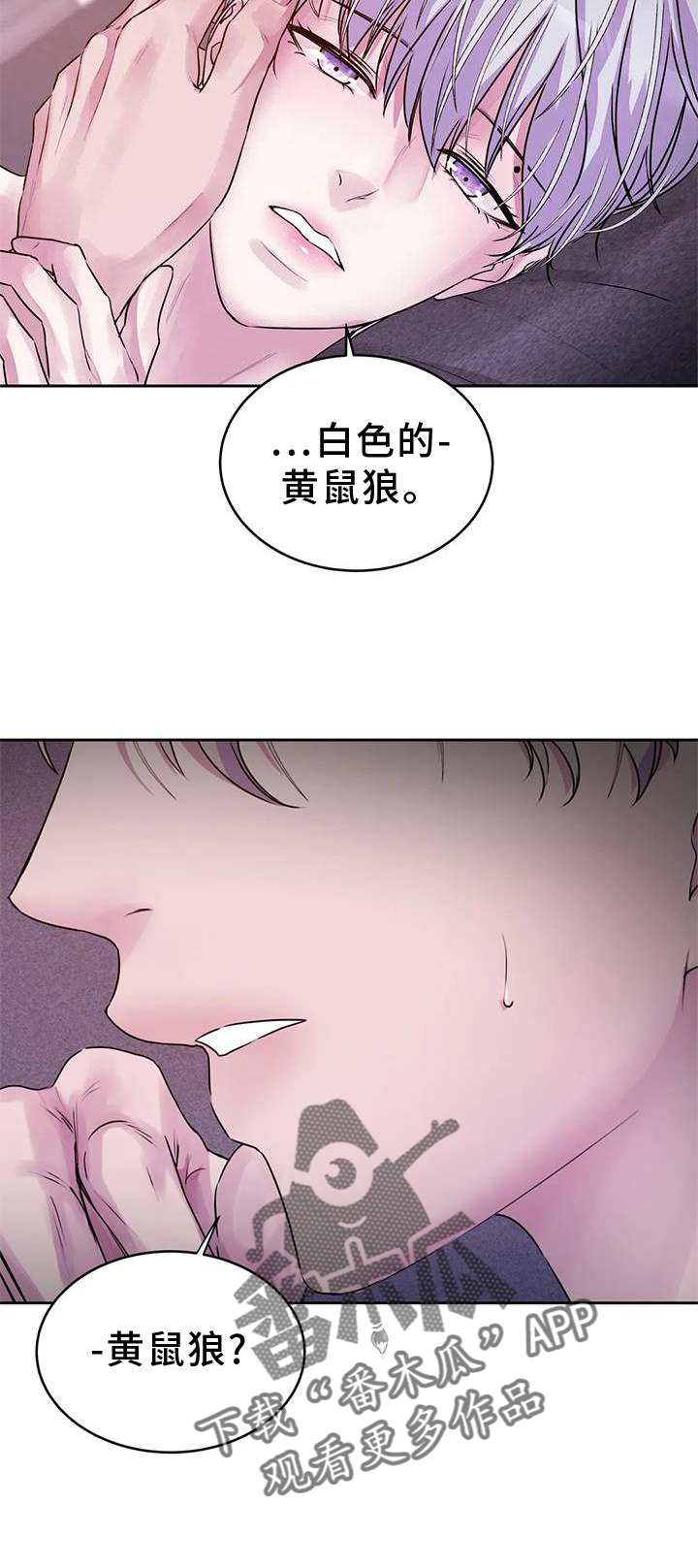 第36章：幻觉21