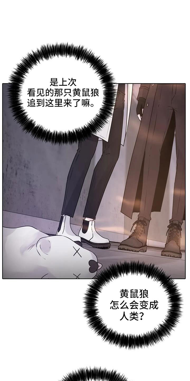 第45章：该结束了0