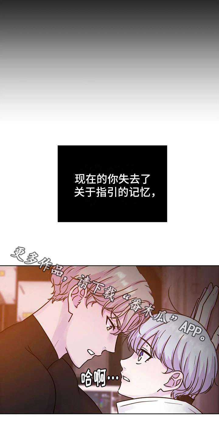 第23章：指引19
