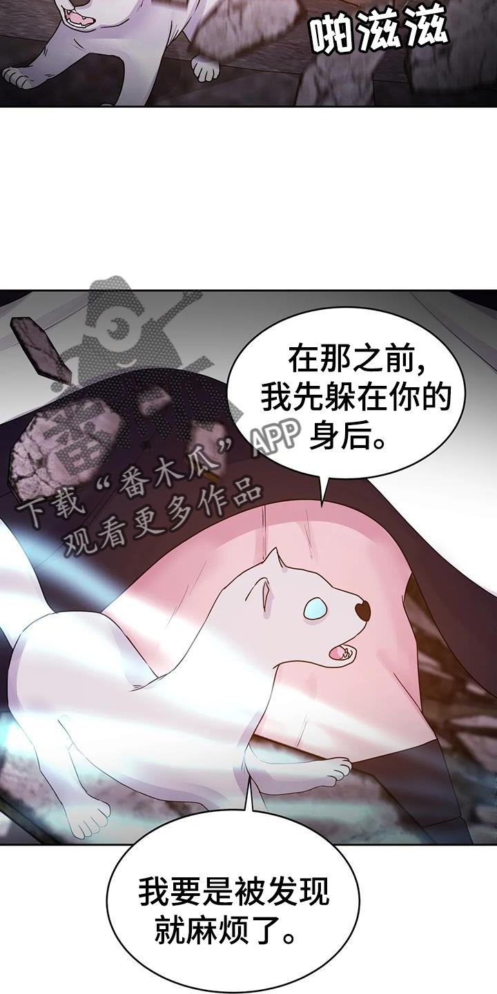 第66章：诱饵17