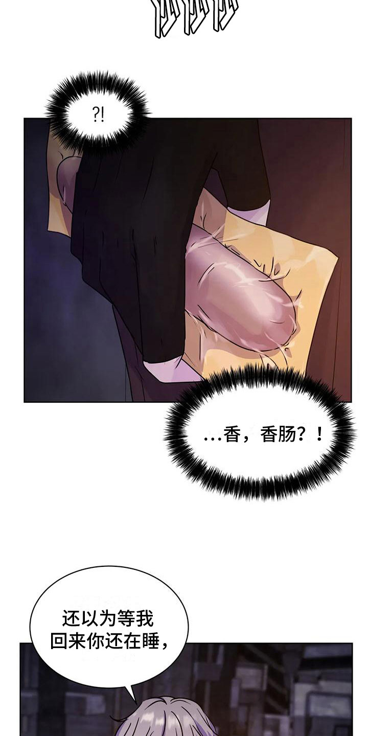 第13章：食物6