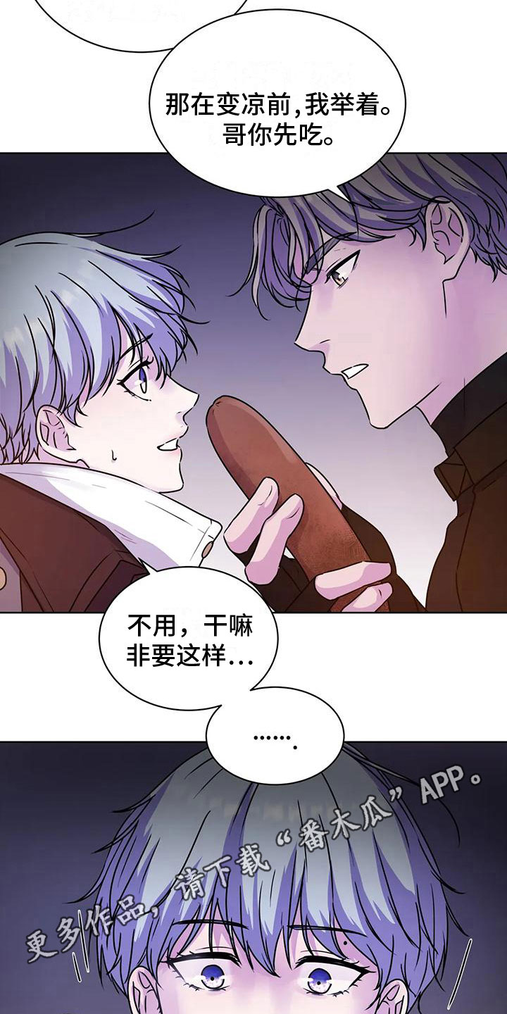第13章：食物19