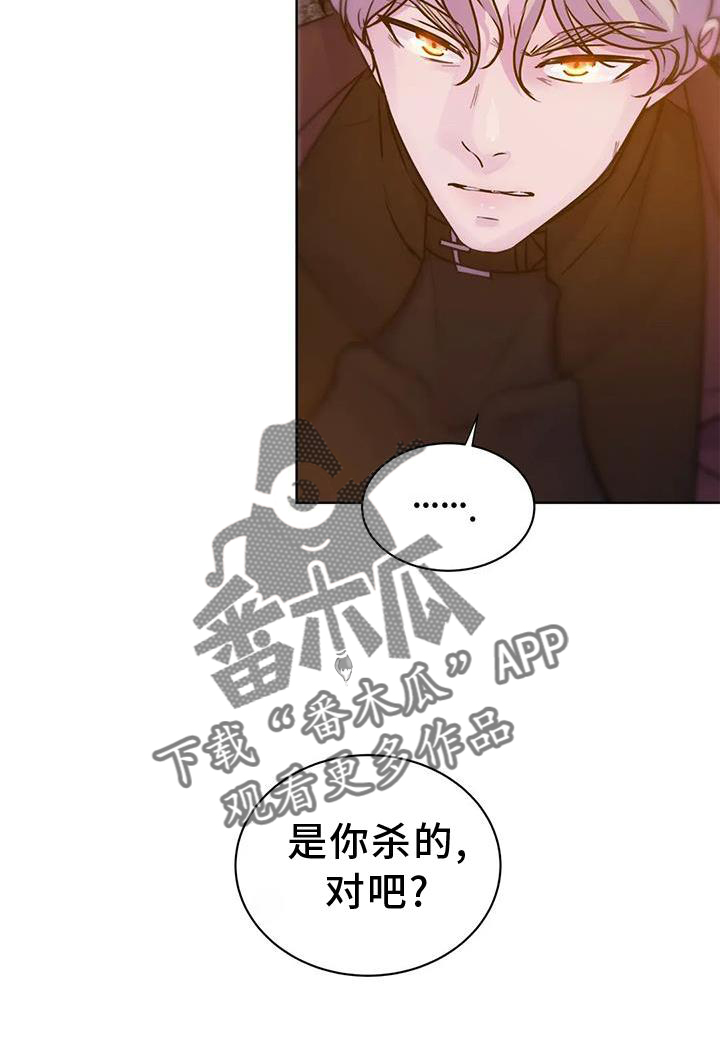 第29章：交手22