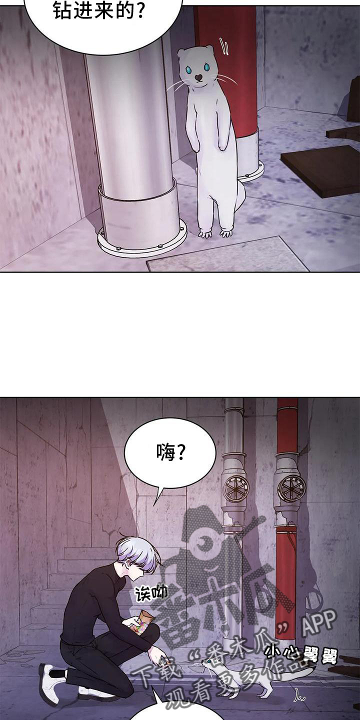 第33章：头晕11