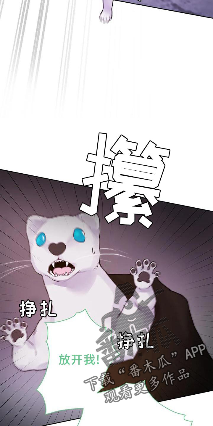 第37章：醒了7