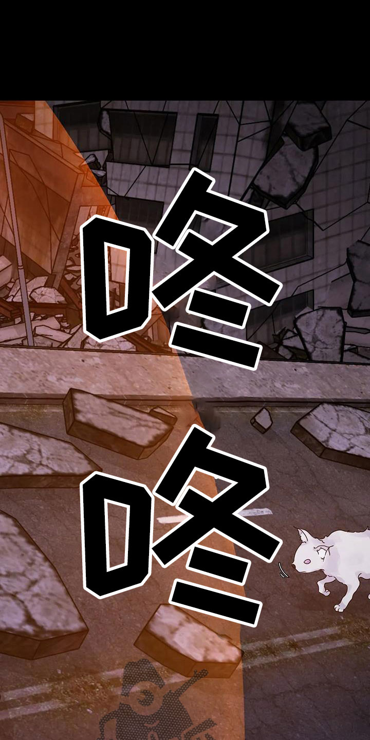 第49章：再次昏迷31