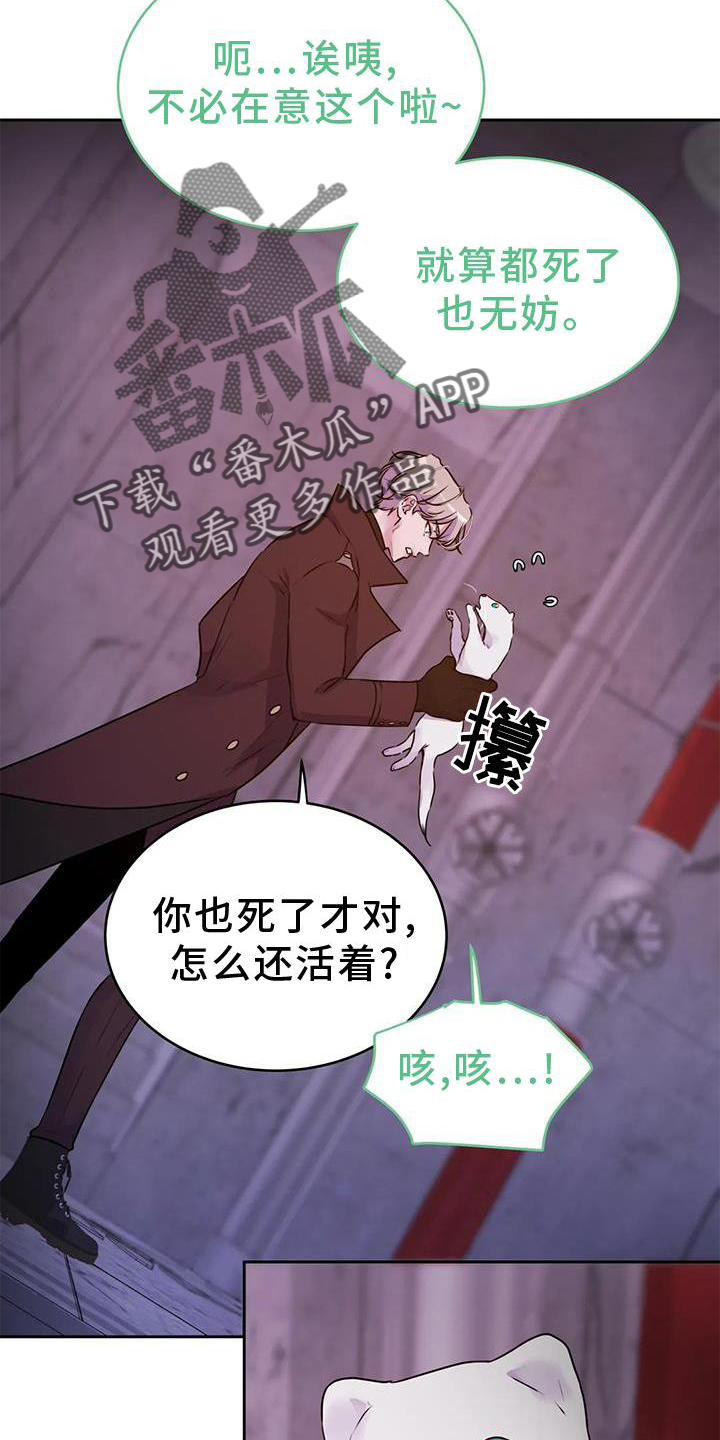 第37章：醒了13