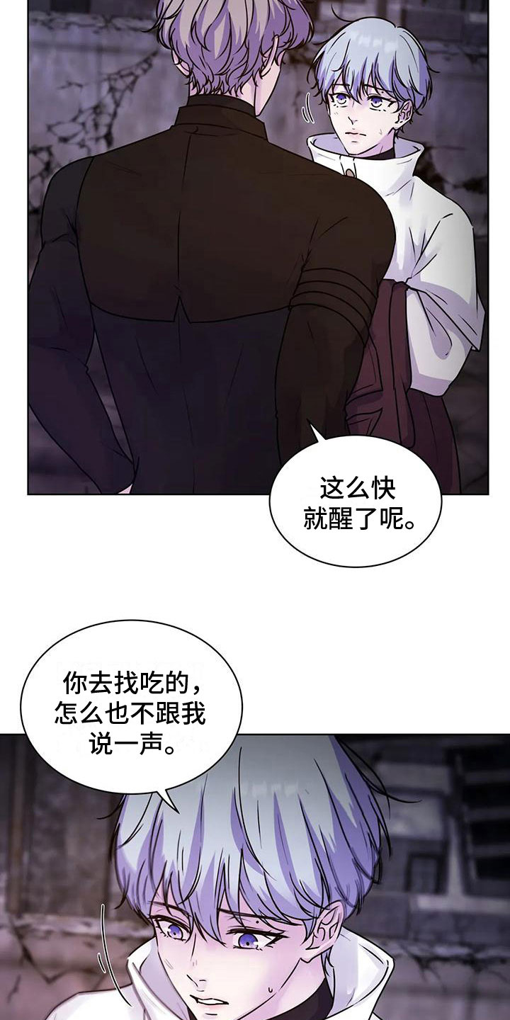 第13章：食物7