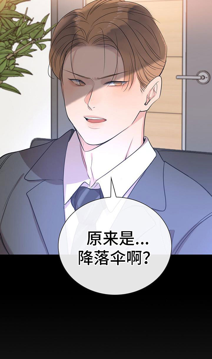 第3章：降落伞34