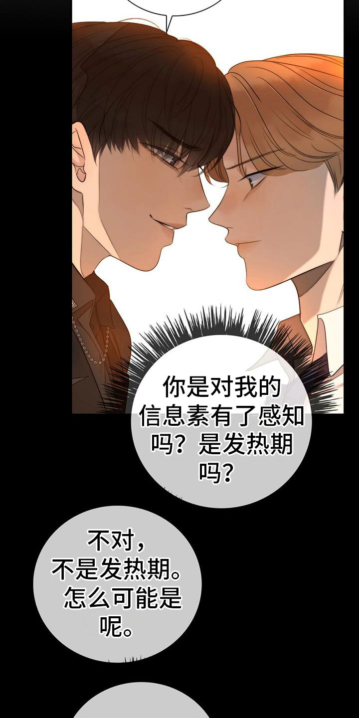 第11章：挺漂亮29