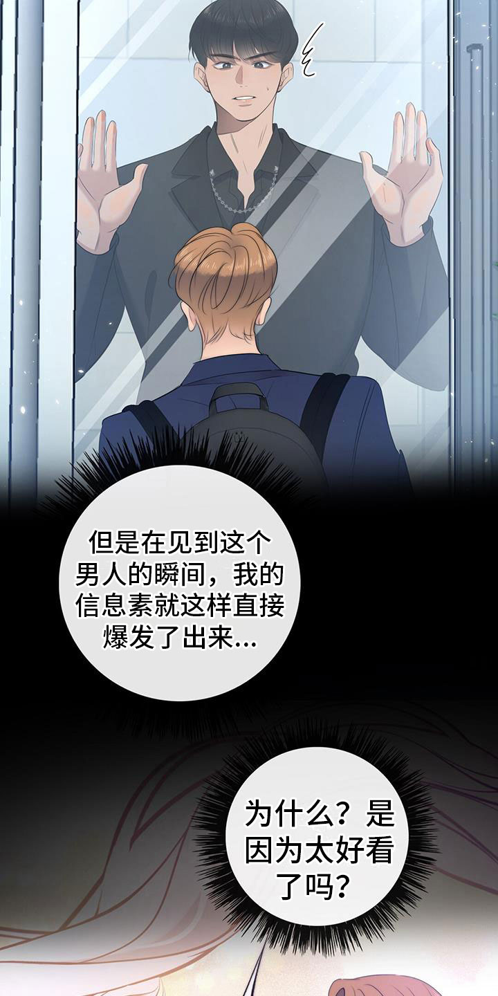 第11章：挺漂亮12