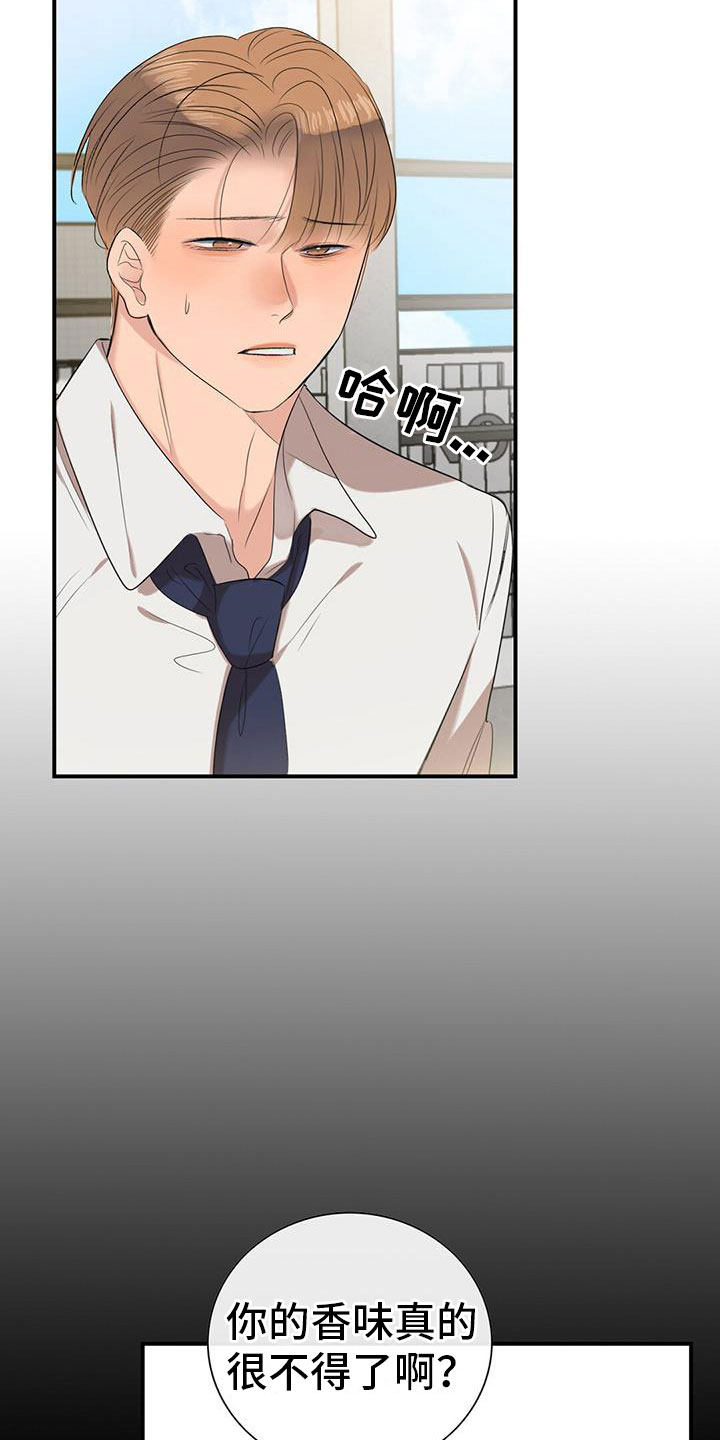 第11章：挺漂亮28