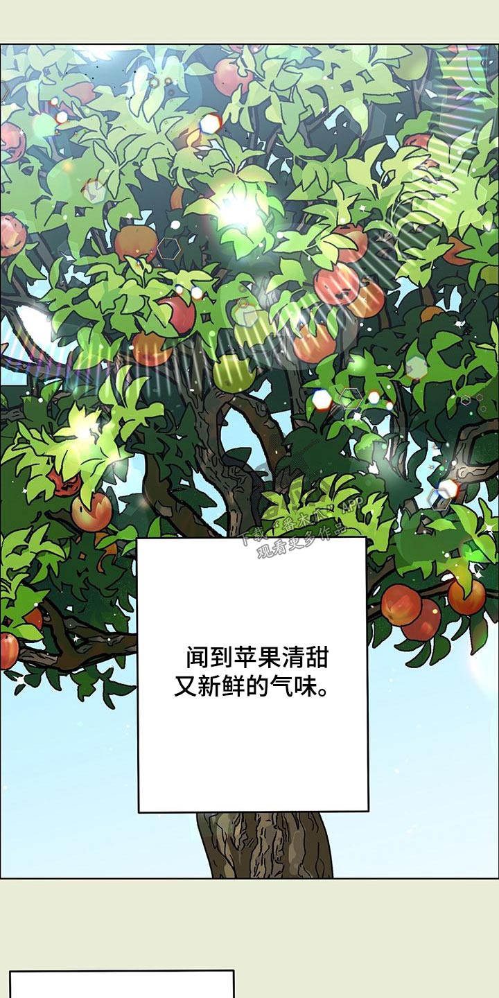 第41章：很久不见11