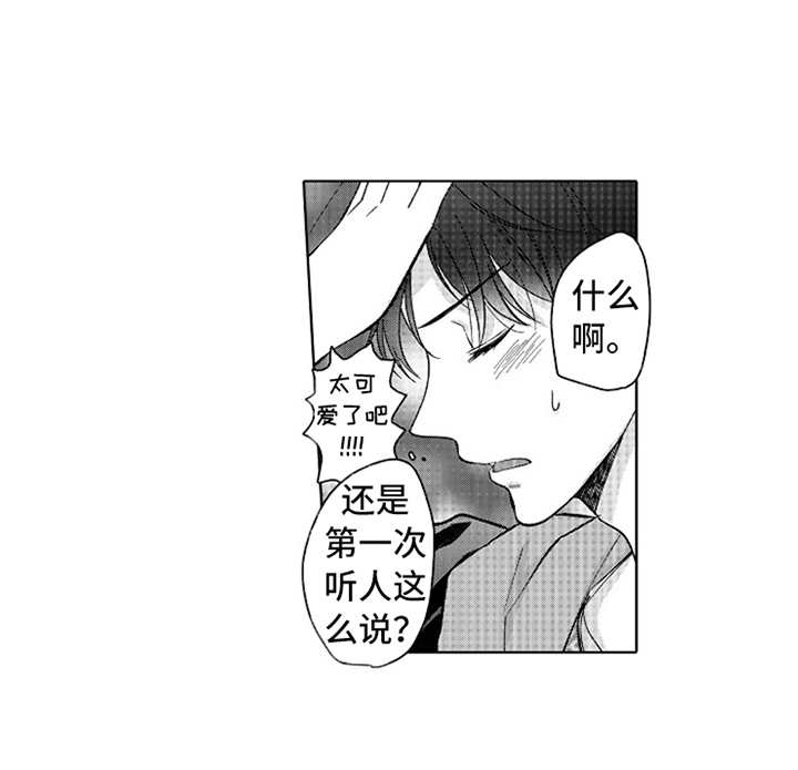 第15章：蒸蒸日上7