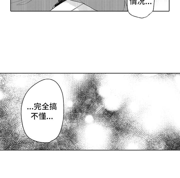 第11章：搞不懂14