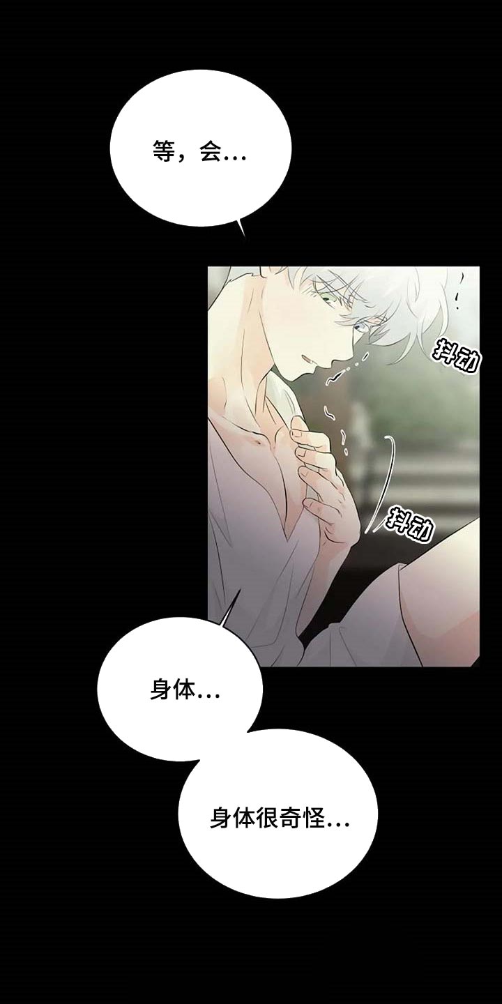 第67章：潜力14