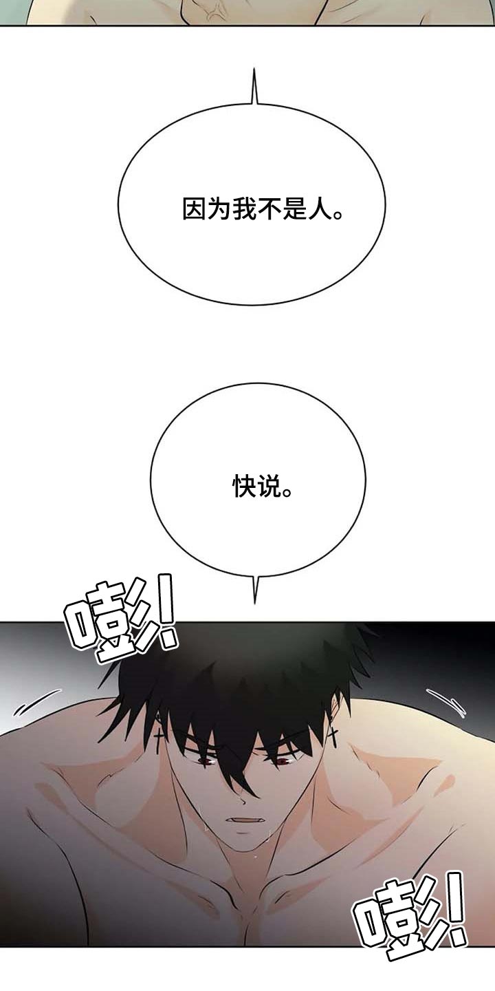 第46章：你的守护天使5