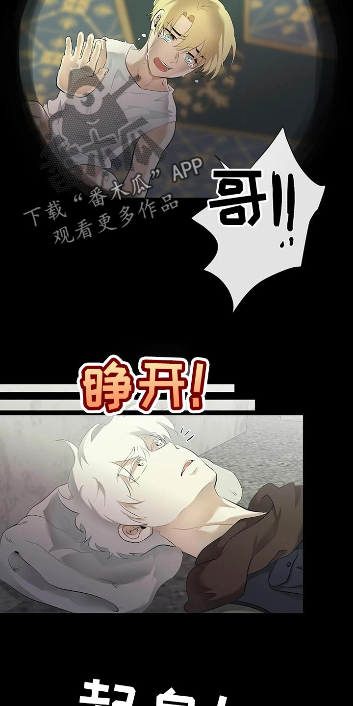 第80章：我们该走的路22