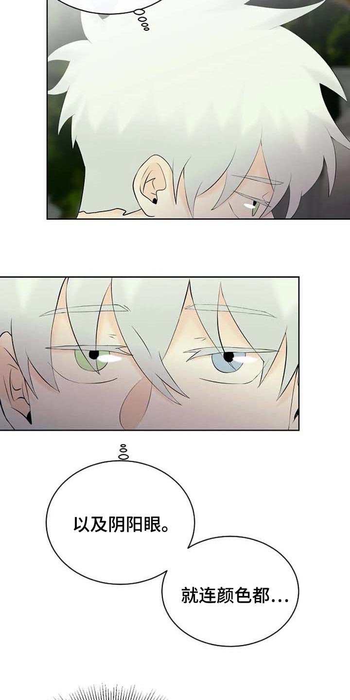 第47章：特点符合13