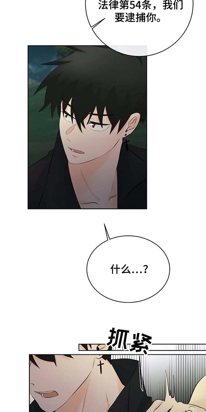 第60章：逮捕22