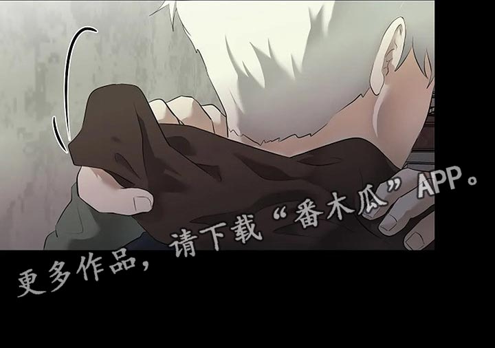 第80章：我们该走的路28